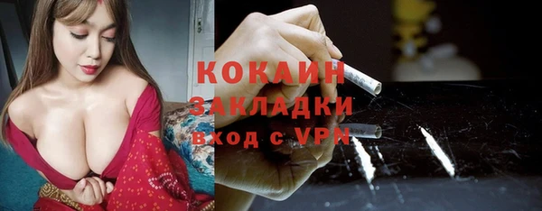 apvp Алексин