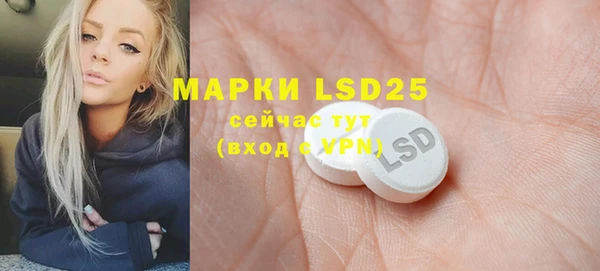 apvp Алексин