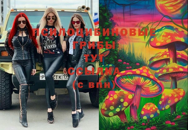 apvp Алексин