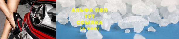 гидра Алзамай