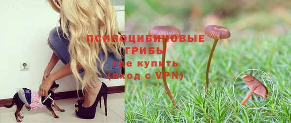 apvp Алексин